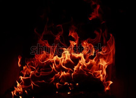 Fire flames Stock photo © Nneirda