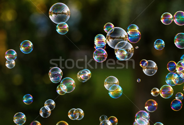 Seifenblasen Regenbogen Blasen Blase Gebläse Wasser Stock foto © Nneirda