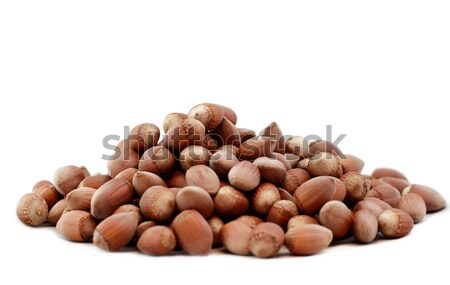 Tasty hazelnuts, close up Stock photo © Nneirda