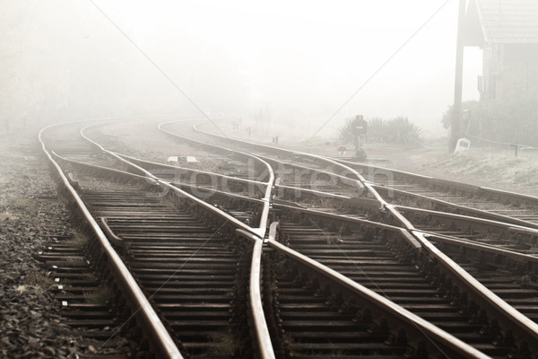 Railway in fog  Stock photo © Nneirda