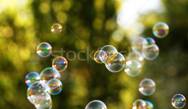 Pompas de jabón arco iris burbujas burbuja soplador agua Foto stock © Nneirda
