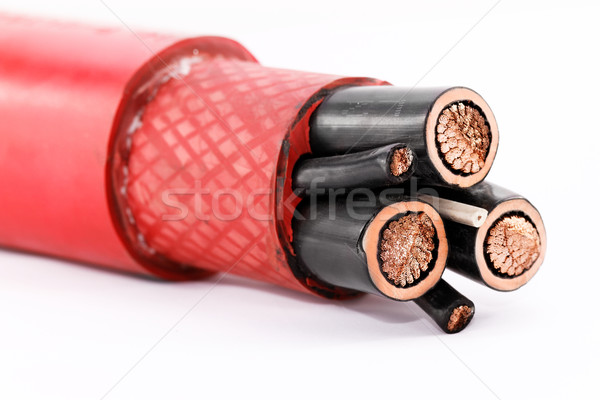 Stockfoto: Hoogspanning · kabel · foto · geïsoleerd · witte