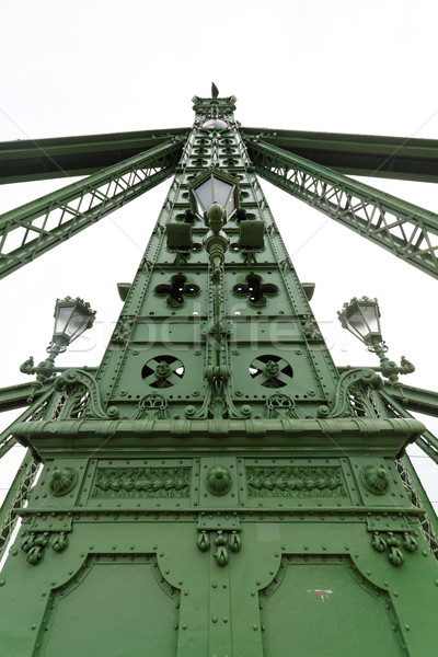 Historic bridge in Budapest Stock photo © Nneirda