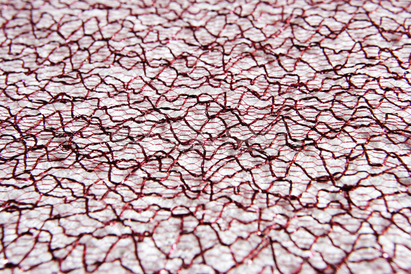 Textile close up Stock photo © Nneirda