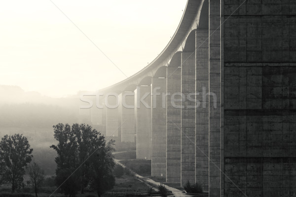 Large highway viaduct ( Hungary) Stock photo © Nneirda