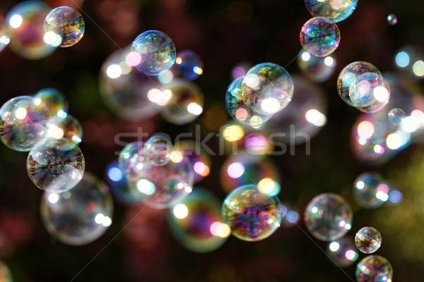 Seifenblasen Regenbogen Blasen Blase Gebläse Design Stock foto © Nneirda