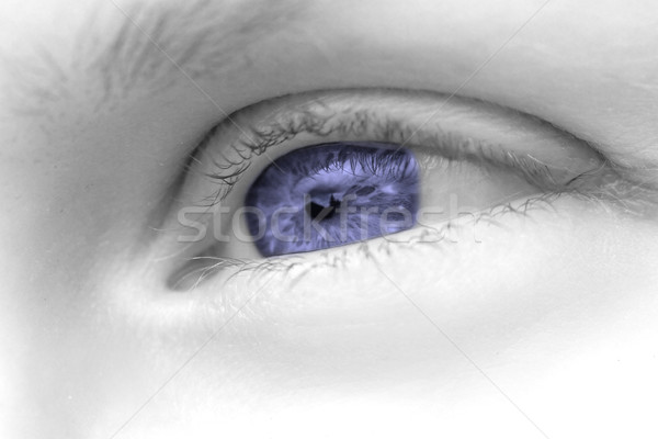 Woman eye Stock photo © Nneirda