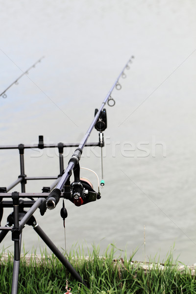 Pesca panorama due pesce asta cielo Foto d'archivio © Nneirda