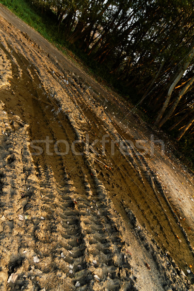 Foto stock: Sucia · roto · rural · carretera · profundo · neumático