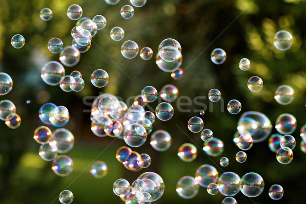 Zeepbellen regenboog bubbels bubble blazer water Stockfoto © Nneirda
