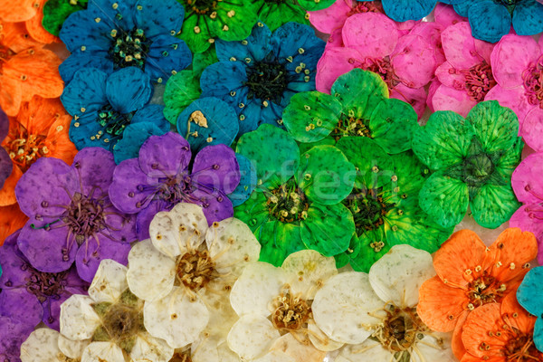 商業照片: 裝飾的 · 剪輯 · 乾燥 · 春天的花朵 · 紫色