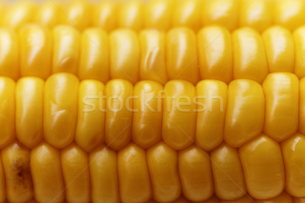 Corn background Stock photo © Nneirda