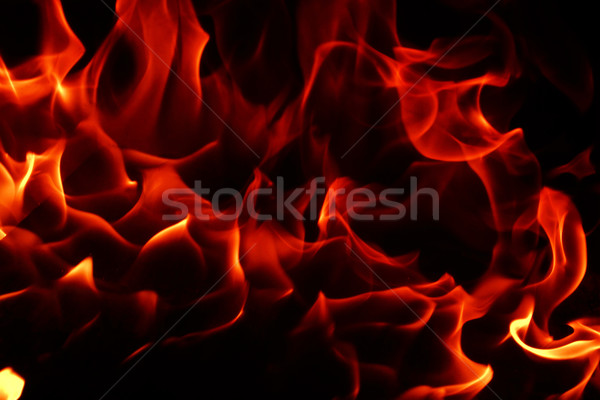 Fire flames Stock photo © Nneirda