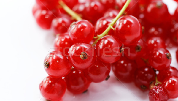 Foto stock: Vermelho · groselha · isolado · branco · fruto · verão