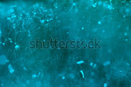 Bańka mydlana powierzchnia Bańka makro Fotografia wody Zdjęcia stock © Nneirda