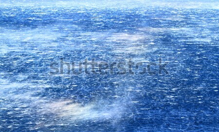 Raging sea with furious waves Stock photo © Nneirda