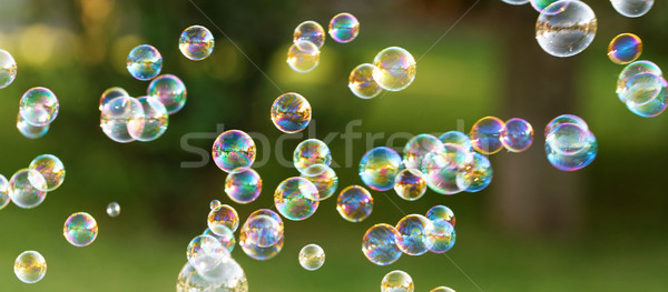 Seifenblasen Regenbogen Blasen Blase Gebläse Design Stock foto © Nneirda