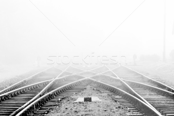 Railway in fog  Stock photo © Nneirda