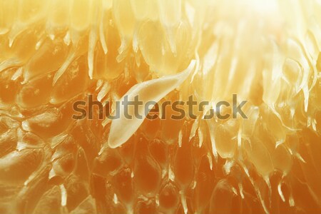 Texture of pamelo pulp Stock photo © Nneirda