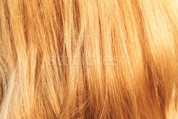 Capelli biondi capelli texture primo piano foto Foto d'archivio © Nneirda