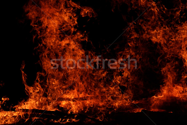 Tűz láng gyönyörű tábor sötét éjszaka Stock fotó © Nneirda