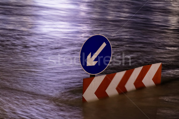 Dunaj Budapeszt Fotografia powódź wody drzewo Zdjęcia stock © Nneirda