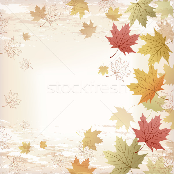 Autumn Maple leaves background Stock photo © norwayblue