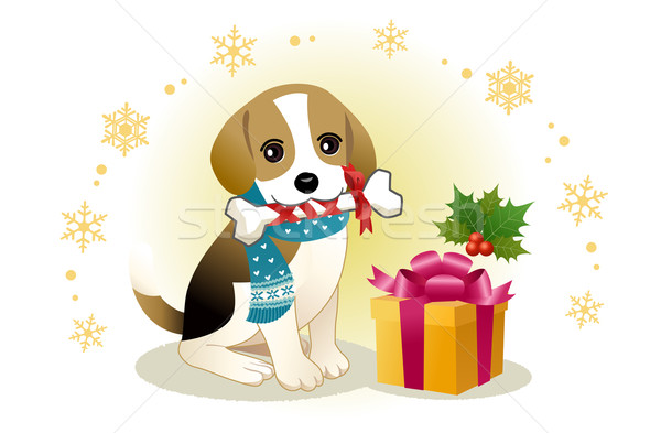 Beagle Hund beißen Knochen Weihnachten vorliegenden Stock foto © norwayblue