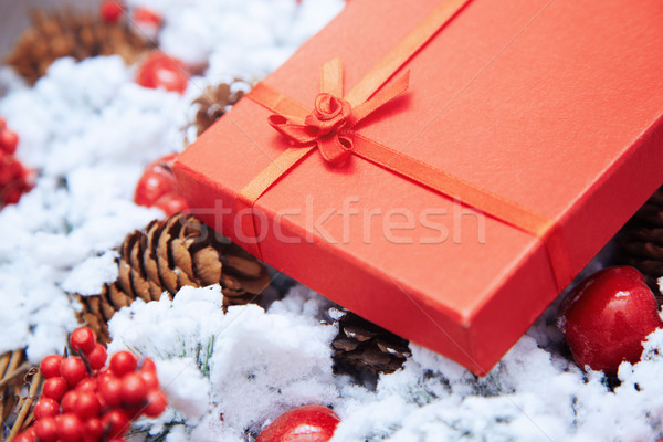 Christmas gift Stock photo © Novic