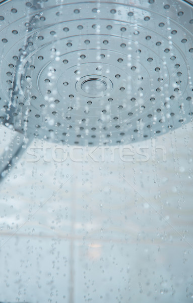 Shower head with flowing water Stock photo © Novic