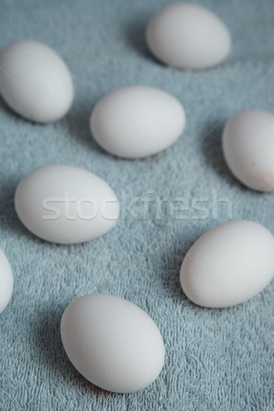 Poulet oeufs fibre bleu printemps oeuf Photo stock © Novic