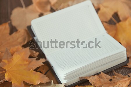 Najaar notepad abstract Stockfoto © Novic