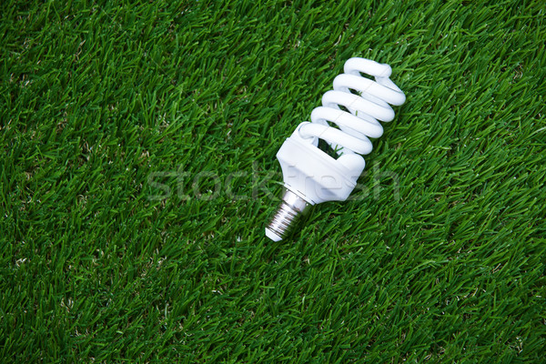 Energia lampadina erba orizzontale foto Foto d'archivio © Novic