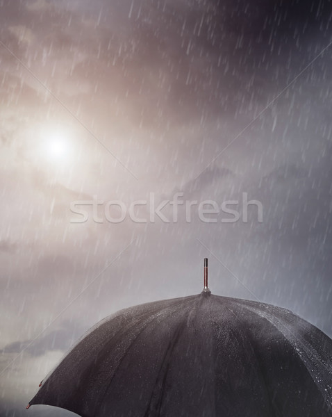 Mokro parasol deszcz niebo jesienią splash Zdjęcia stock © Novic