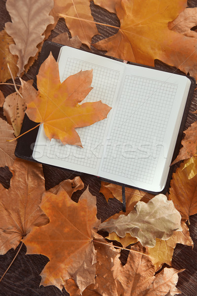 ősz közelkép kilátás jegyzettömb őszi levelek absztrakt Stock fotó © Novic