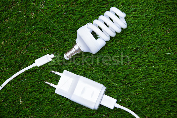Ambiental conservação energia bulbo elétrico Foto stock © Novic