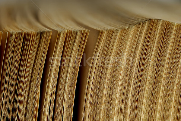 Old pages Stock photo © Novic
