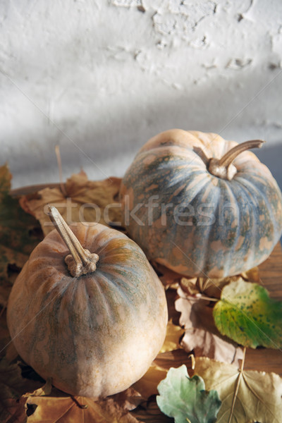 Autumn Stock photo © Novic