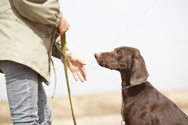 Dog and trainer Stock photo © Novic