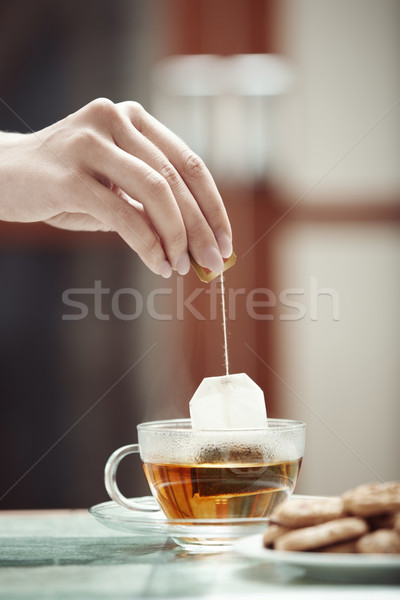 Tea preparation Stock photo © Novic