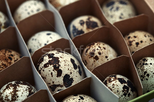 框 雞蛋 復活節 食品 雞蛋 商業照片 © Novic