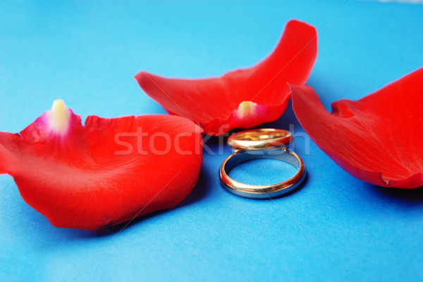 Wedding rings and rose petals Stock photo © Novic