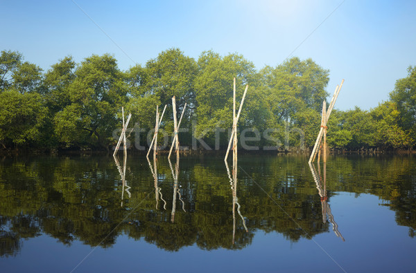 Trap Holz Stick Wasser Natur Stock foto © Novic