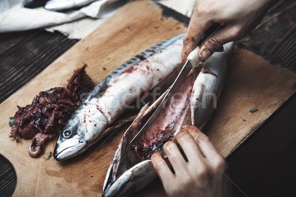 [[stock_photo]]: Femme · maquereau · poissons · main · cuisine · table