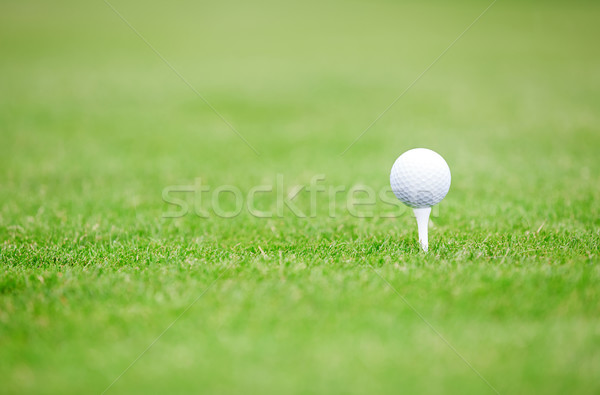 Golfball grünen Rasen Foto Sport Stock foto © Novic