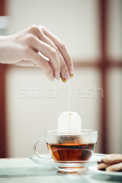 Tea preparation Stock photo © Novic