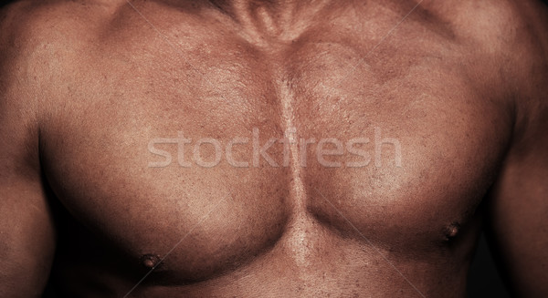 Kaslı vücut görmek üstsüz adam spor Stok fotoğraf © Novic