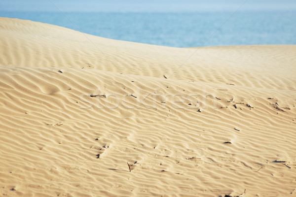 Sand beach Stock photo © Novic