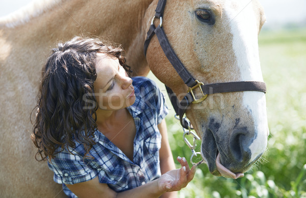 Woman and horse together at paddock Stock photo © Novic