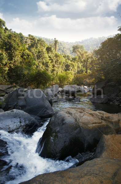 Indian jungle with shallow river between stones Stock photo © Novic